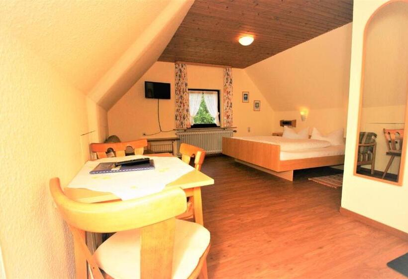 Номер Стандарт, Zur Traube Schwarzwaldhotel & Restaurant Am Titisee