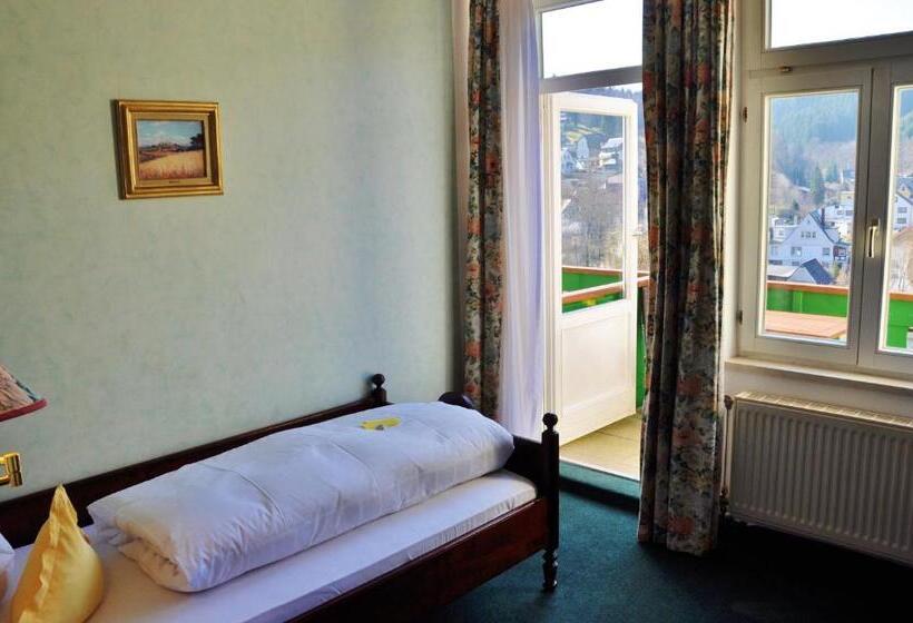 高级单人间, Flair Hotel Waldfrieden