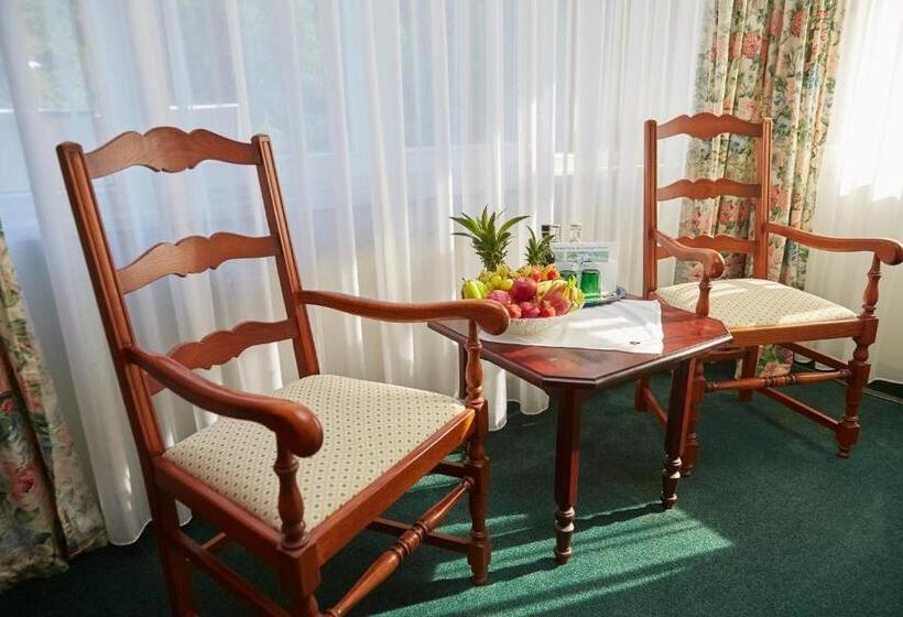 豪华房间, Flair Hotel Waldfrieden