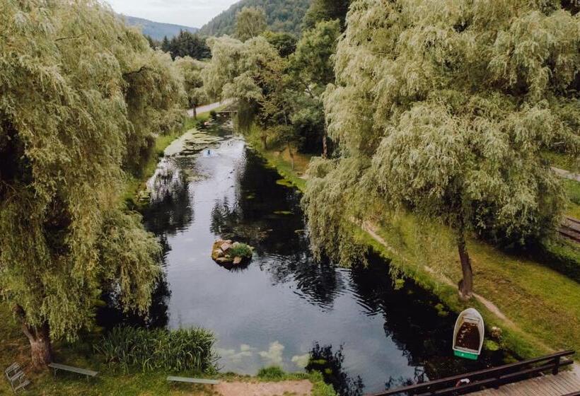 스탠다드 룸, Zur Alten Mühle