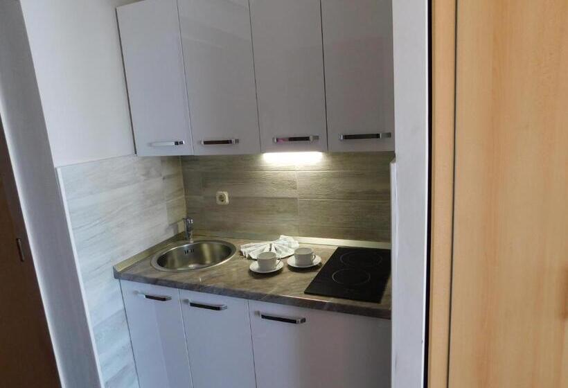 استودیوی استاندارد با چشم‌انداز دریا, Beach Villa Bozikovic
