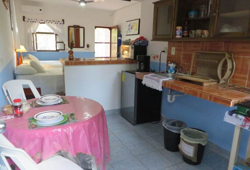 اتاق کلاسیک با چشم‌انداز باغ, Apartamento La Casa Del Angel