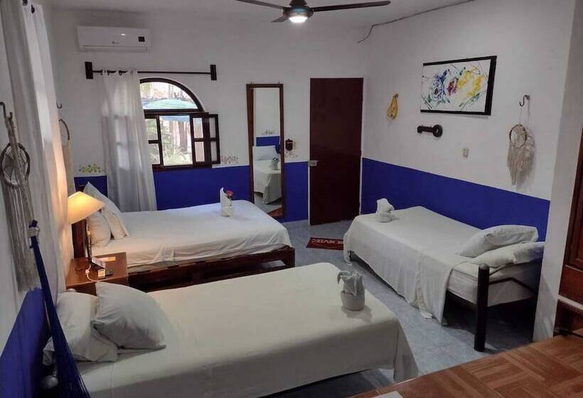 اتاق کلاسیک با چشم‌انداز باغ, Apartamento La Casa Del Angel
