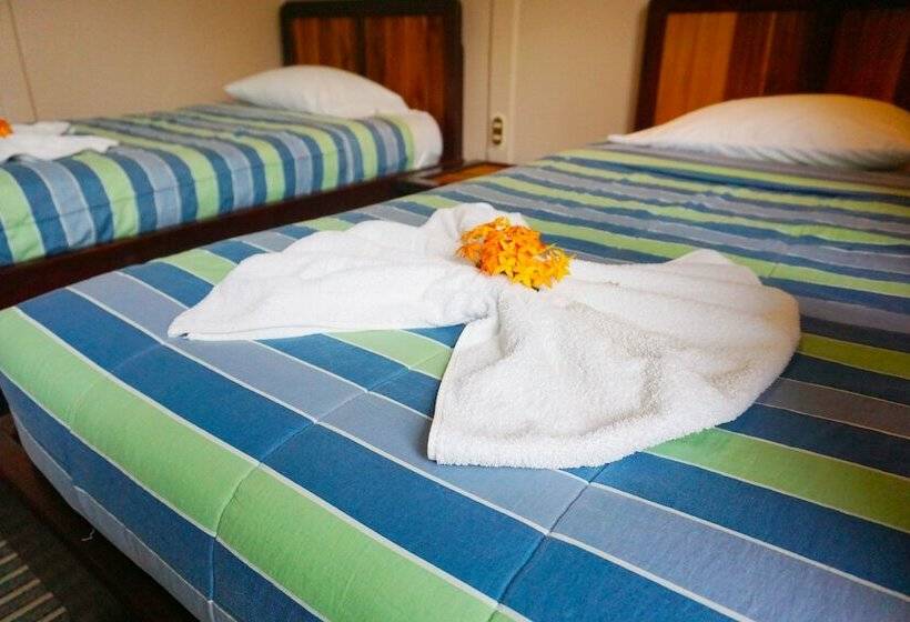 اتاق استاندارد, Cabinas Tropicales