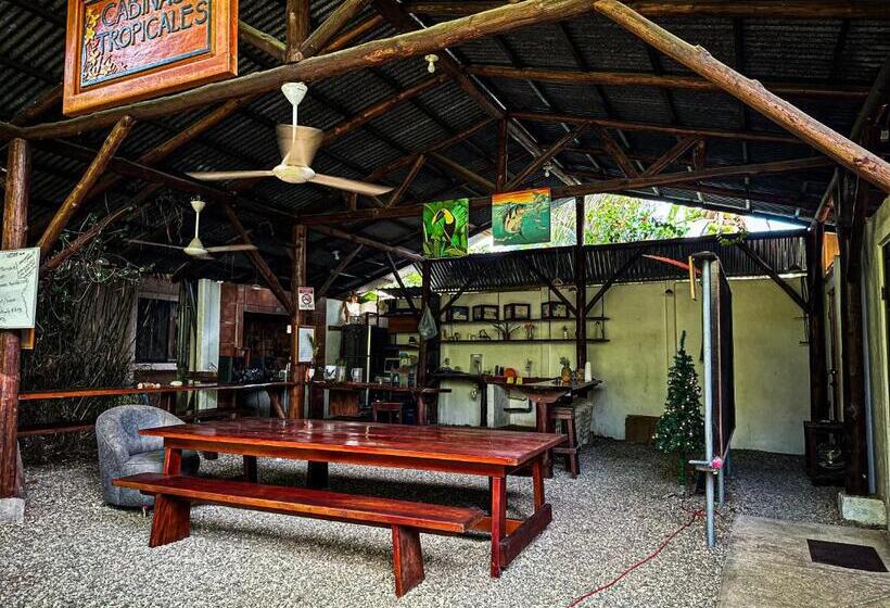 اتاق استاندارد, Cabinas Tropicales