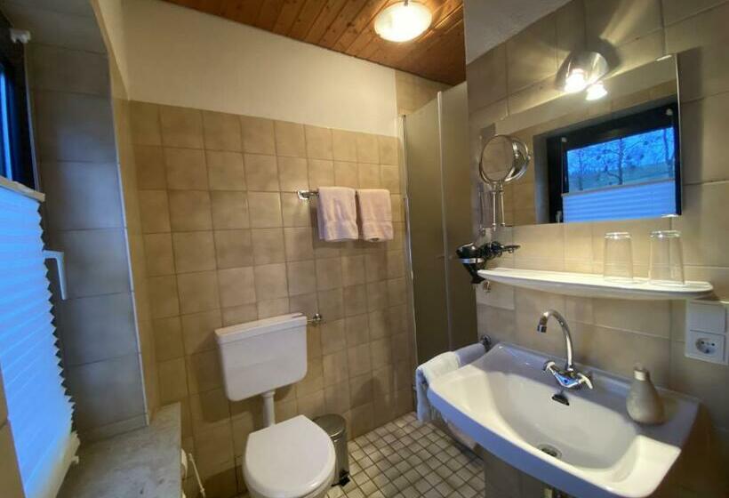 Номер Стандарт, Pension Wittgensteiner Schweiz