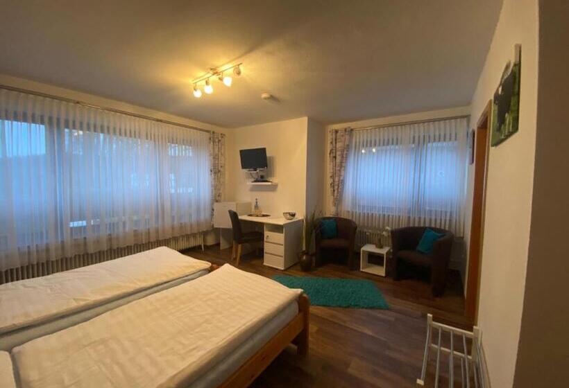 Номер Стандарт, Pension Wittgensteiner Schweiz