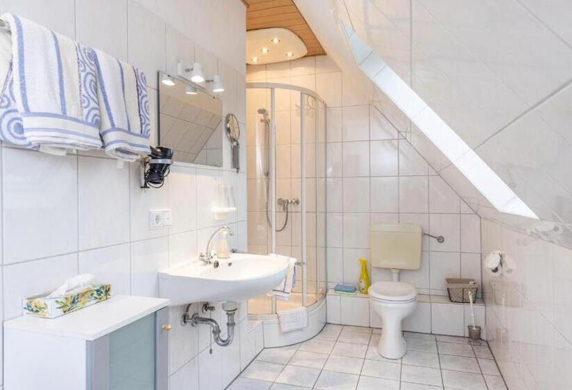 Апартаменты 1 Спальня, Pension Wittgensteiner Schweiz