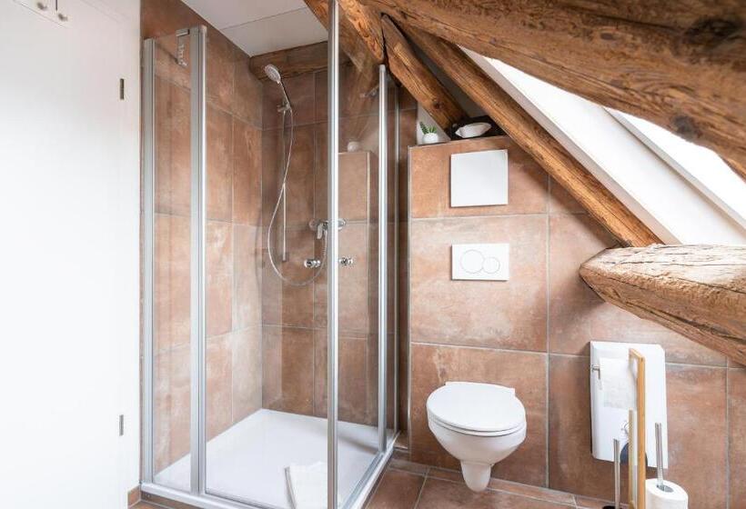 침실 1개 아파트, Bodenseehotel Krone Und Historisches Aparthotel Gästehaus Des Hotel Krone