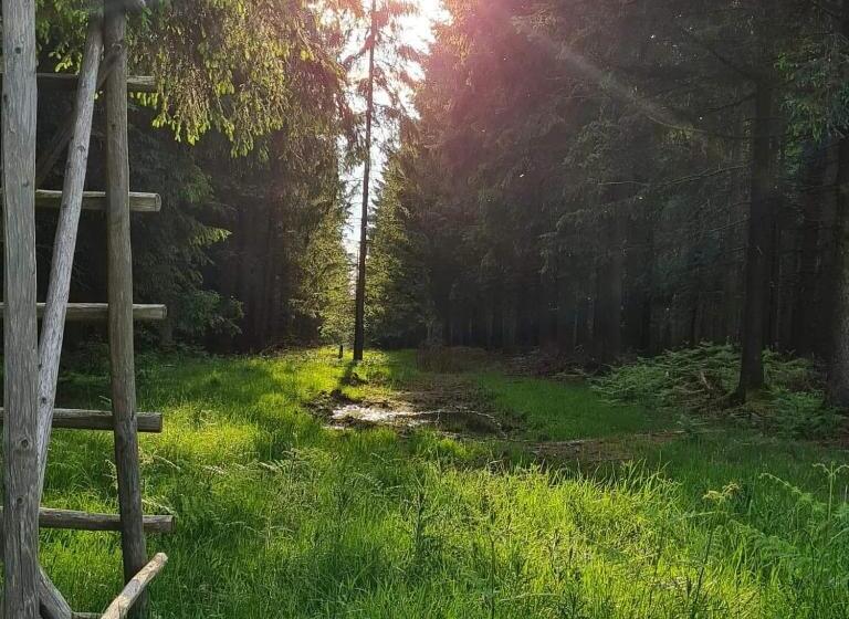 Номер Стандарт, Ferme La Joye