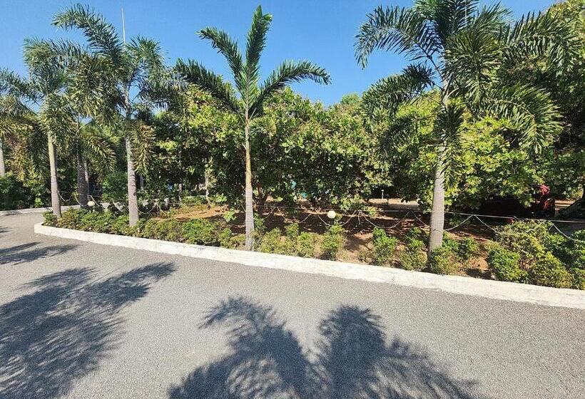 اتاق استاندارد, Paradise Forest Resort