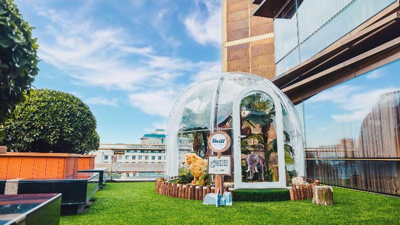 Стандартный Номер Кровать Кинг, Americas Best Value Inn Forest
