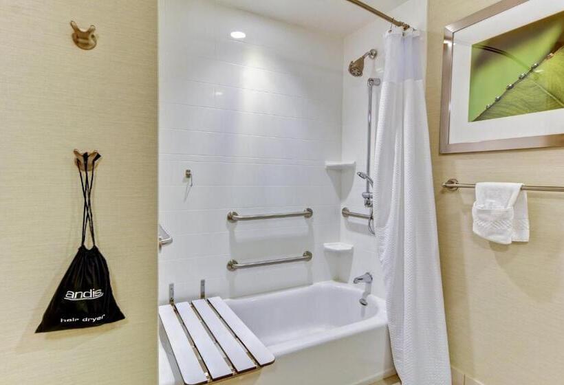 스탠다드 룸 킹사이즈 침대, Courtyard By Marriott Bridgeport Clarksburg