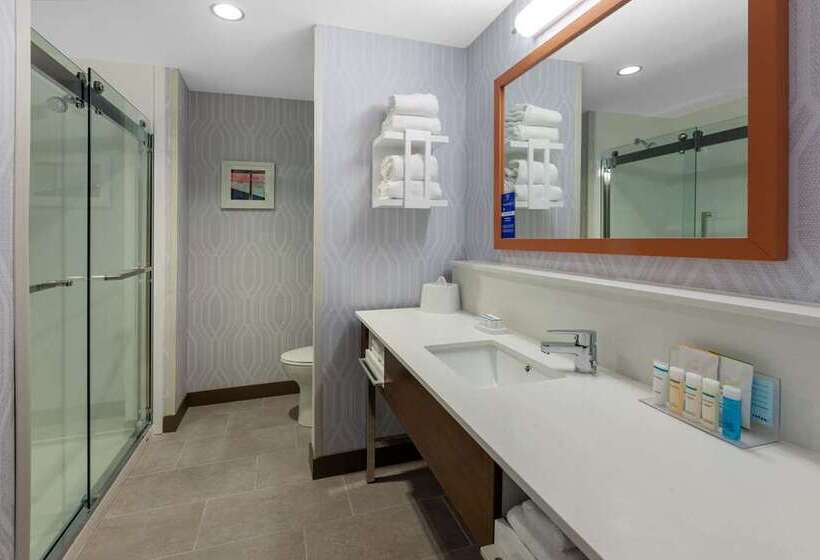 스탠다드 룸 킹사이즈 침대, Hampton Inn Lake Charles