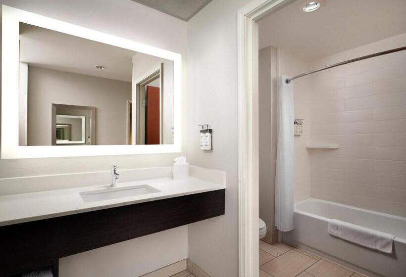 Quarto Superior Cama King, Holiday Inn Express And Suites New Orleans Airport, An Ihg
