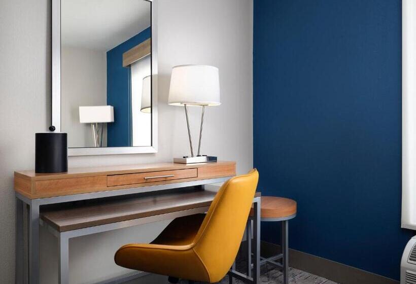 Quarto Estandar Cama King para Deficientes Físicos, Holiday Inn Express And Suites New Orleans Airport, An Ihg