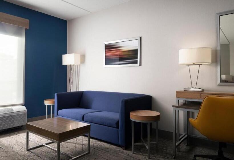 Estúdio standard Cama King, Holiday Inn Express And Suites New Orleans Airport, An Ihg