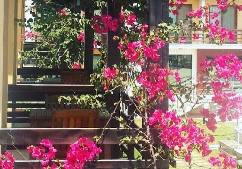 اتاق استاندارد, Otel Silvanus