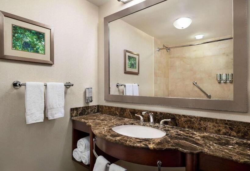 Номер Стандарт 2 Двуспальные Кровати, Viana Hotel And Spa, Trademark Collection By Wyndham