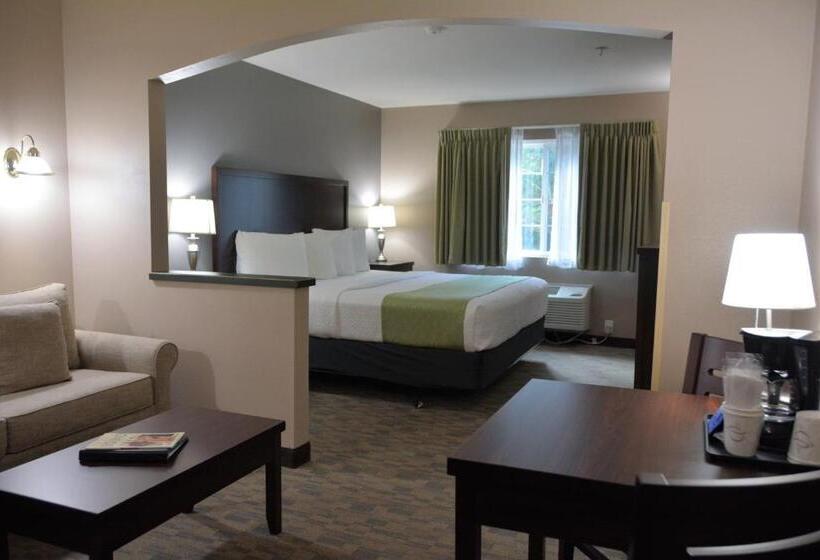 Стандартный Номер Кровать Кинг, Fairbridge Inn & Suites Dupont