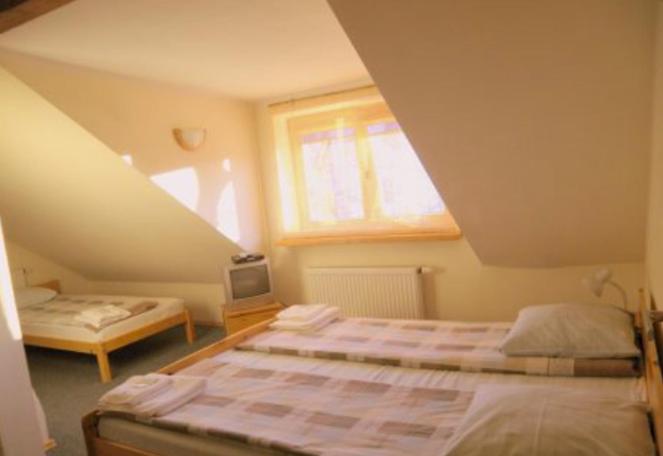 اتاق استاندارد با سرویس بهداشتی مشترک, Express Guest House