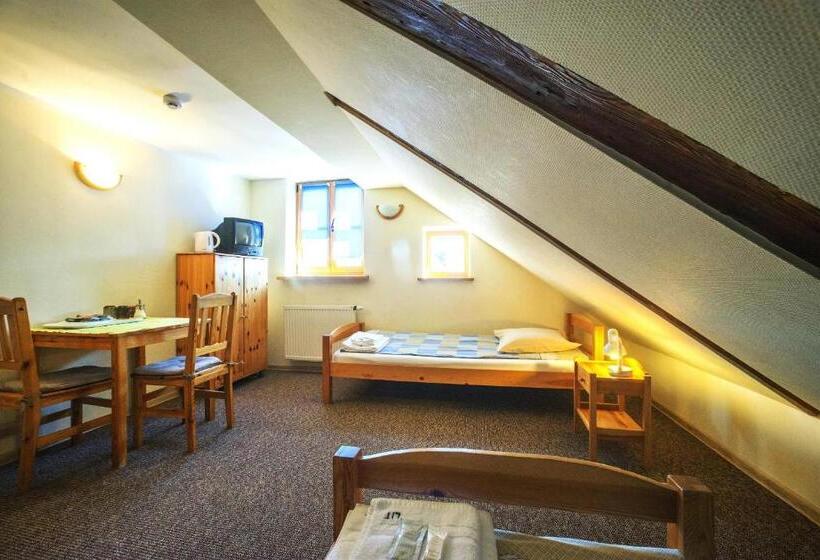 اتاق استاندارد با سرویس بهداشتی مشترک, Express Guest House