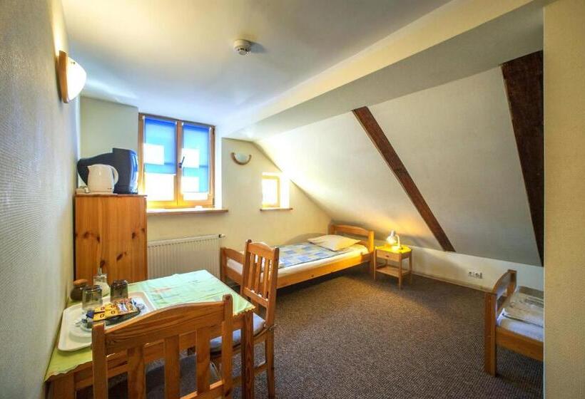 اتاق استاندارد با سرویس بهداشتی مشترک, Express Guest House