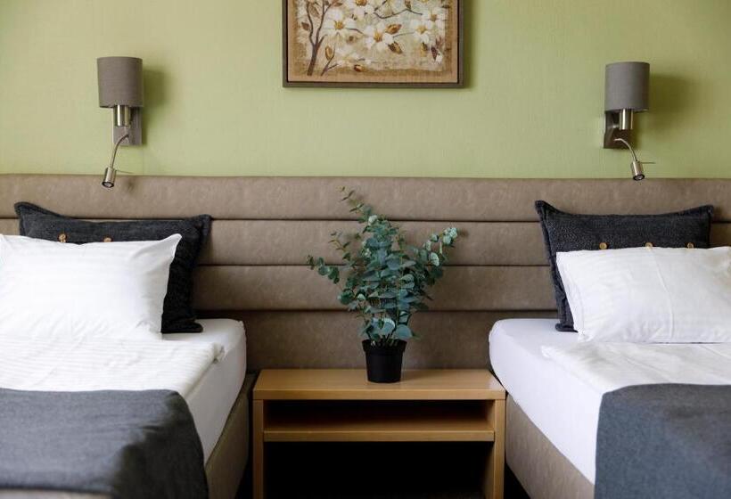 اتاق استاندارد, Spa Hotel Ezeri