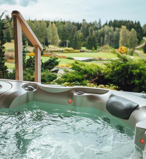 اتاق استاندارد, Spa Hotel Ezeri