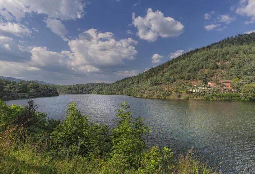 Номер Стандарт, Auberge Du Lac