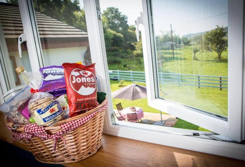 Номер Стандарт, Glan Llyn Farm House