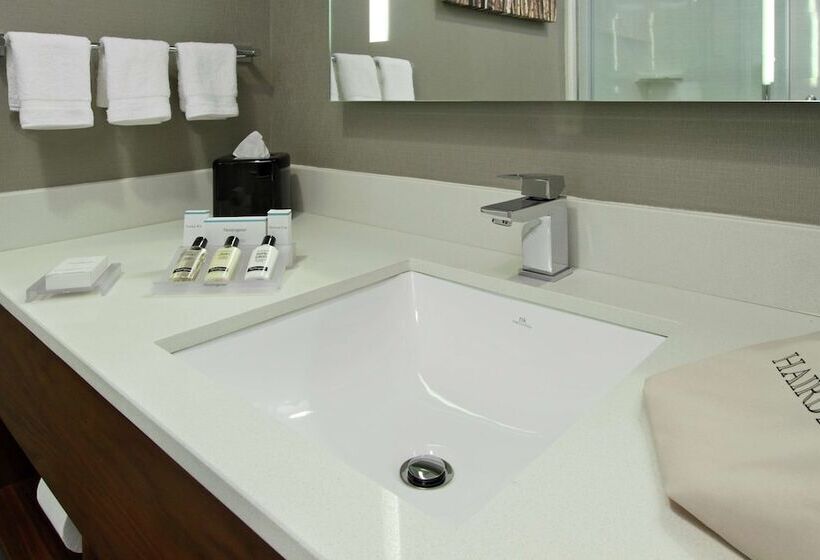 اتاق استاندارد با 2 تخت دوبل, Hilton Garden Inn New York/midtown Park Ave