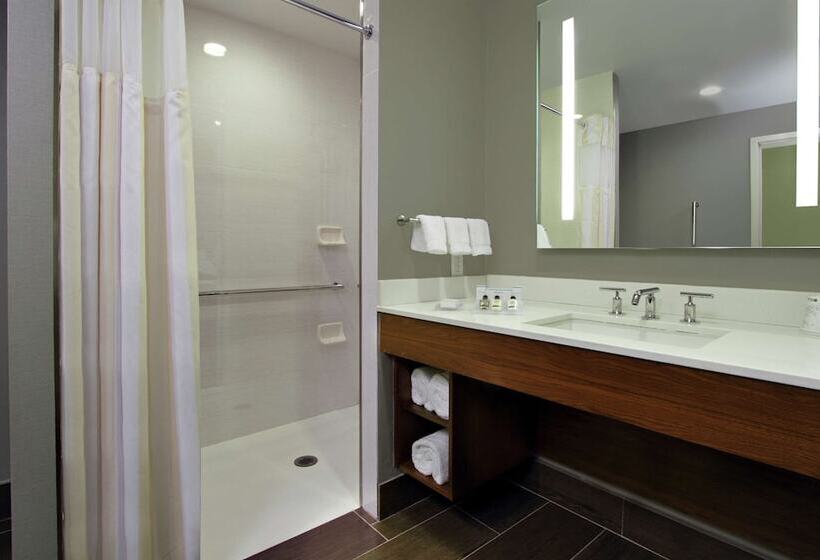 اتاق استاندارد با 2 تخت دوبل, Hilton Garden Inn New York/midtown Park Ave