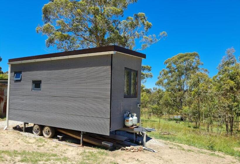 Четырехместный Номер Стандарт, Tiny Home   Bluebird