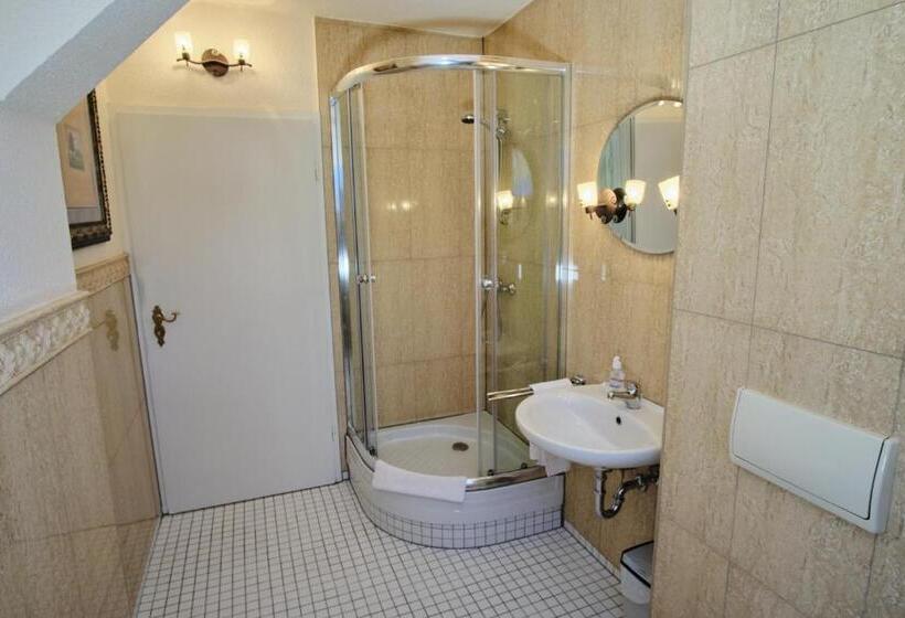 اتاق استاندارد با سرویس بهداشتی مشترک, Anno 1900 Hotel Babelsberg