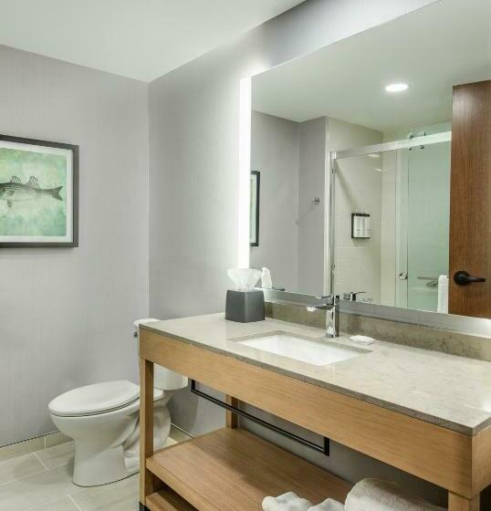 스탠다드 룸 킹사이즈 침대, Hyatt Place Kent Narrows And Marina