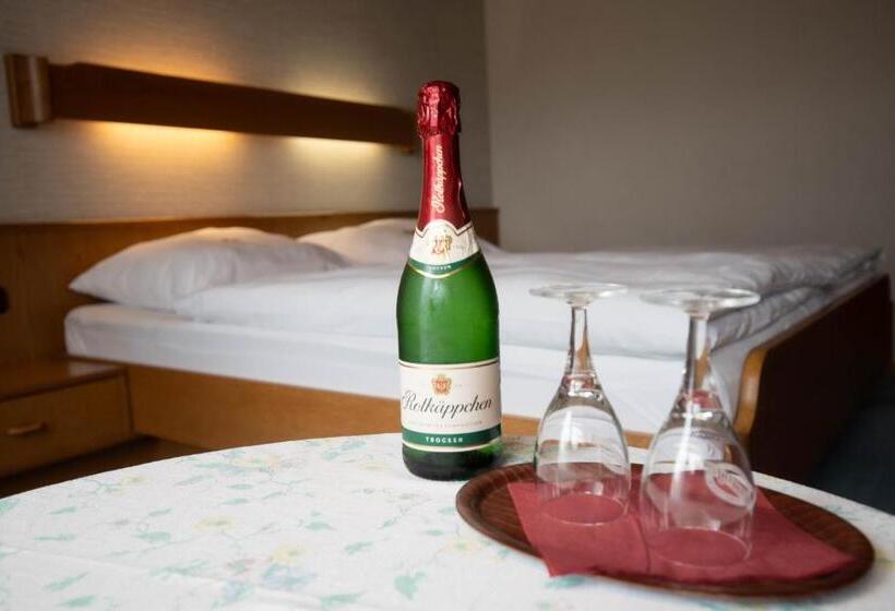 Номер Стандарт с Балконом, Landhotel Jägerhof