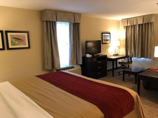 이그제큐티브 스위트 킹침대, Inn At Clinton