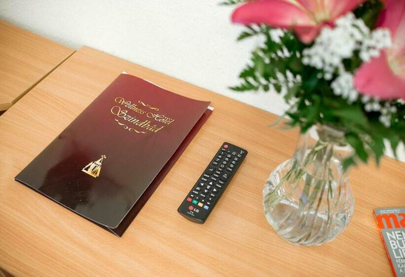 Номер Стандарт, Wellness Hotel Szindbád