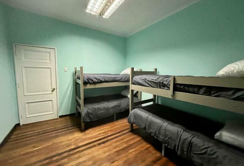 تختخواب در اتاق مشترک, Viva Chile Hostel Providencia