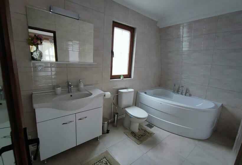 اتاق لوکس با بالکن, Casa De Vacanta Estera Rucar
