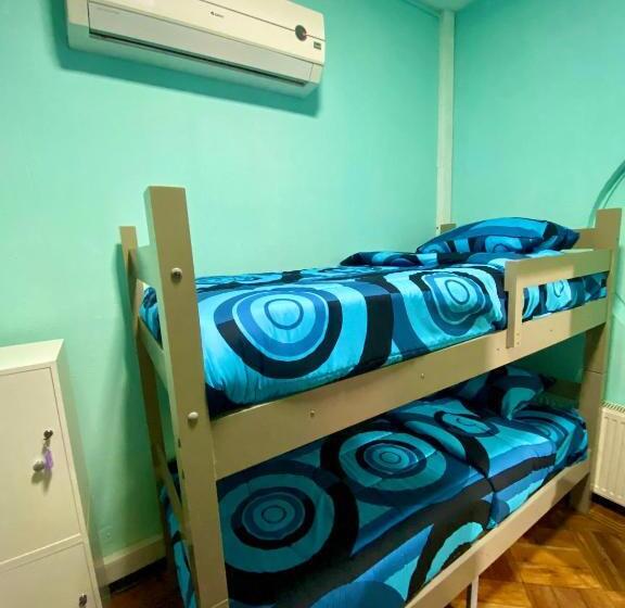 تختخواب در اتاق مشترک, Viva Chile Hostel Providencia