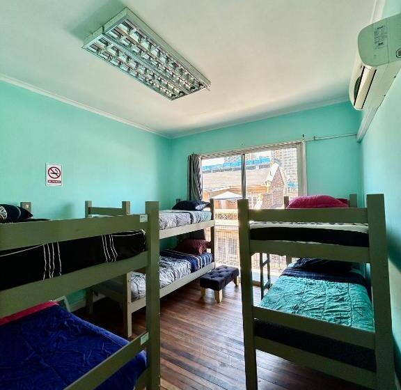 تختخواب در اتاق مشترک, Viva Chile Hostel Providencia