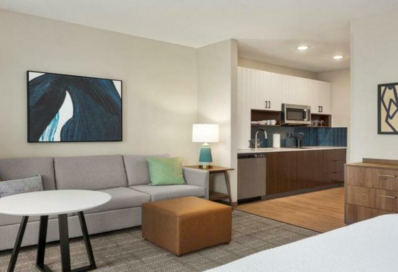 استودیوی استاندارد با تخت دو نفره بزرگ, Staybridge Suites   Lexington S Medical Ctr Area, An Ihg