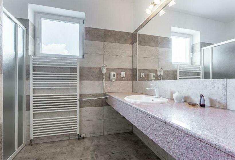 اتاق استاندارد یک نفره, Sanatorium Mariot