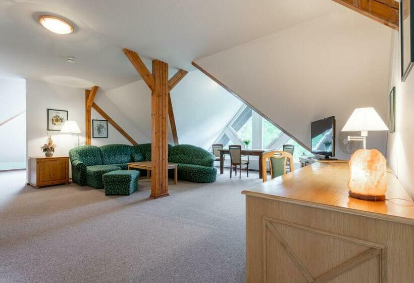 استودیوی استاندارد, Sanatorium Mariot