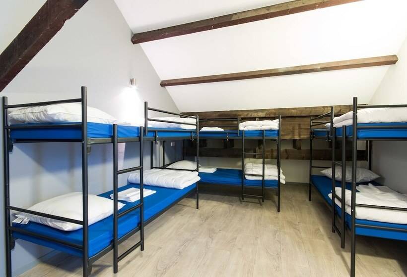 ルームシェアのワンベッド, Kings Inn City Hostel