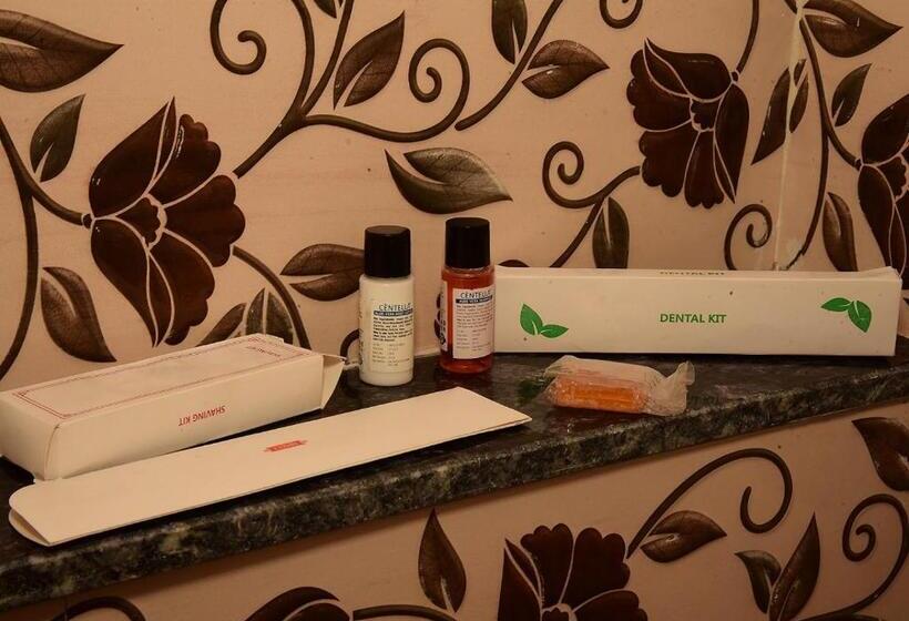 Номер Deluxe, Ashoka Palace