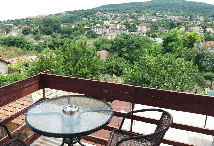Апартаменты 1 Спальня с Балконом, Guest House Astra