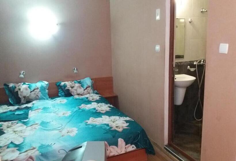 Апартаменты 1 Спальня, Guest House Astra